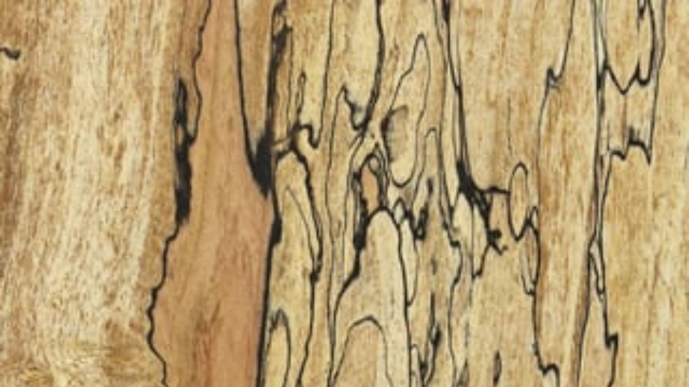 Spalted Maple